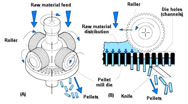 Designs And Operating Principles Of Pellet Mills