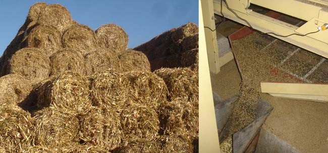 straw and straw pellets