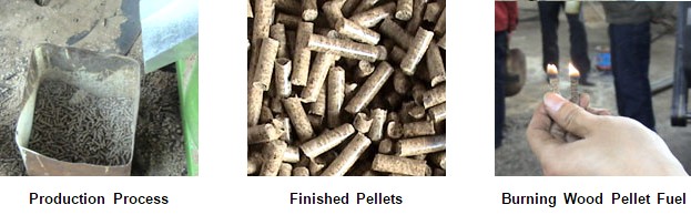 Biomass Pellet Mill