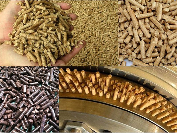 Final Pellets of Pellet Mill for Agriculture Wastes
