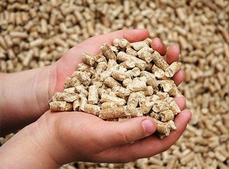 Biomass pellet fuel